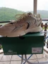  Мъжки Маратонки Lacoste 44 номер , снимка 7