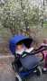 Бебешка количка Jane Muum 2 в 1, снимка 12