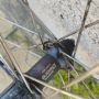 26 цола задна капла за велосипед колело Shimano deore , снимка 3