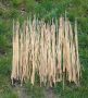Бамбукови пръчки, снимка 1 - Градински цветя и растения - 45854207