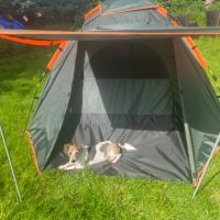 Палатка за къмпинг Cflity, за 3 човека, Автоматична,трипластова,зелена, снимка 7 - Палатки - 45784286