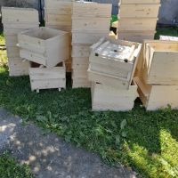 Пчелни кошери, ДБ-12 рамкови, в комплект с по 1 магазин, снимка 2 - За пчели - 42385144