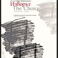 Изборът / The choice 43 изкуствоведи - 43 произведения, снимка 1 - Специализирана литература - 45912685