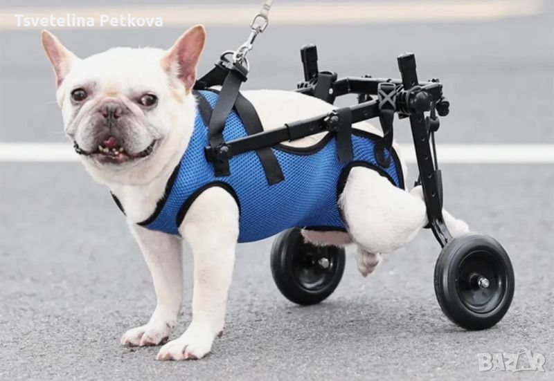 Инвалидна количка за куче, снимка 1