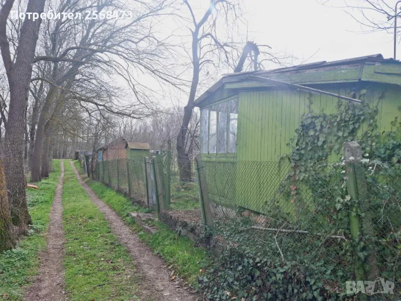 Продавам Лозе в м-стта Алмалий, гр. Добрич, снимка 1