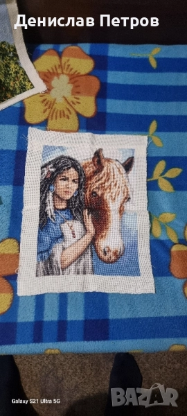 Гоблени на кръстат бот , снимка 1