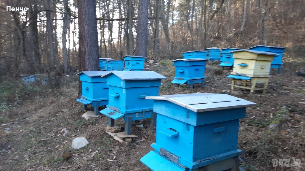 Продажба на кошери, снимка 1