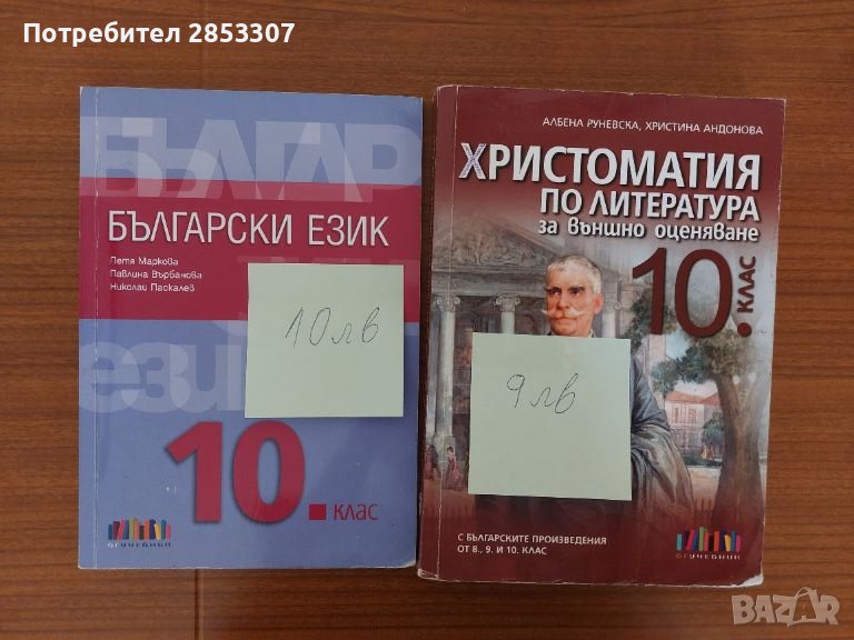 Продавам учебници за 10 клас , снимка 1