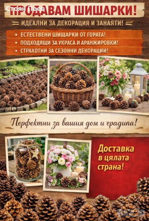 Шишарки , снимка 1