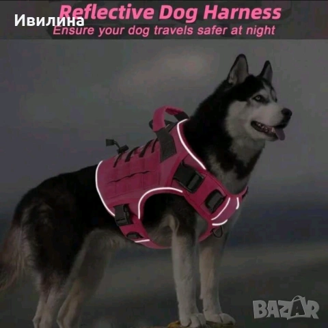 Регулируем нагръдник за голямо куче, снимка 4 - За кучета - 53745975