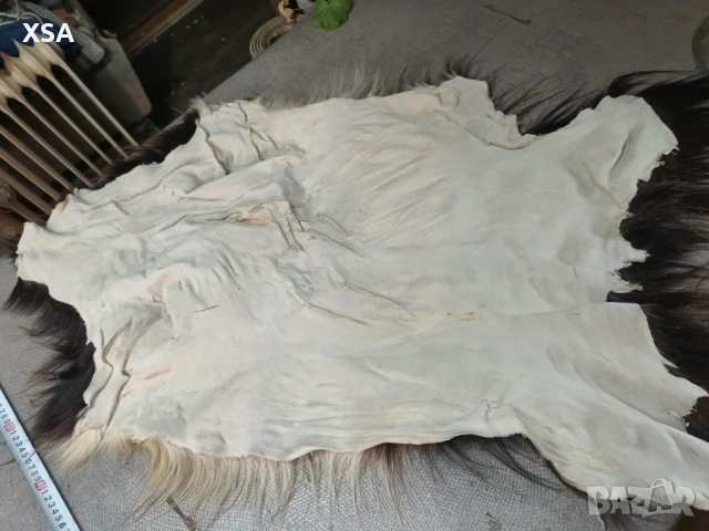 Естествени кожи от коза, снимка 11 - Други ценни предмети - 52265860