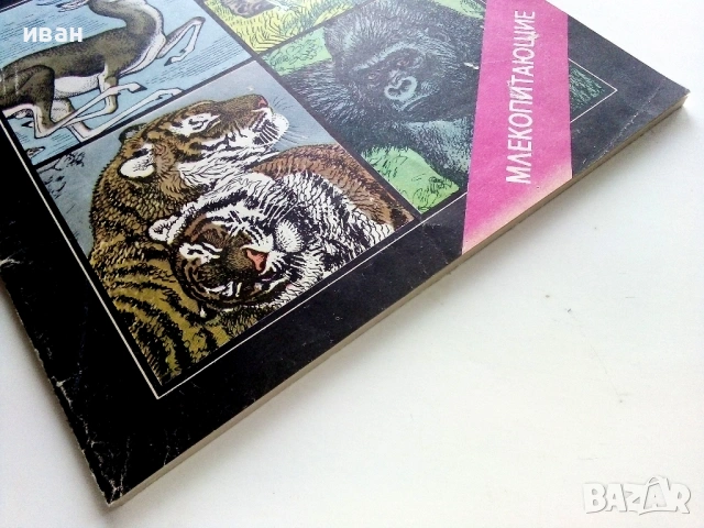 Они должны жить - Млекопитающие - М.В.Черкасова - 1982г., снимка 13 - Енциклопедии, справочници - 53111114