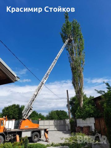 Рязане на опасни дървета и клони!, снимка 3 - Други почистващи услуги - 46111630