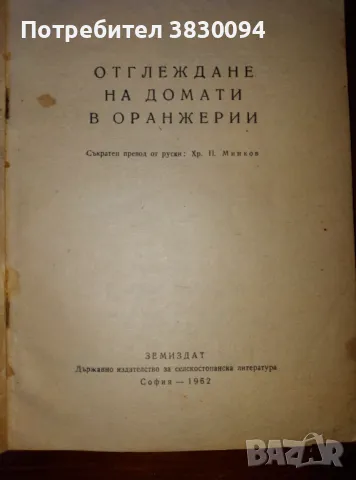 Отглеждане на Домати в Оранжерии, снимка 4 - Други ценни предмети - 49375132