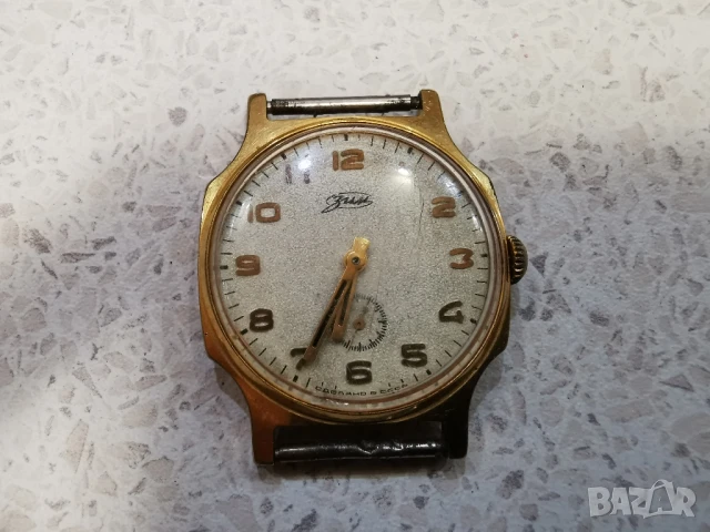 часовник зим