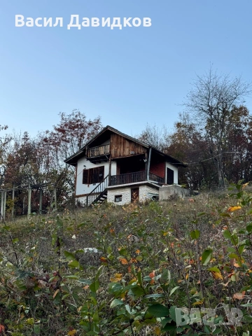 Вила местност Кюпа Берковица 