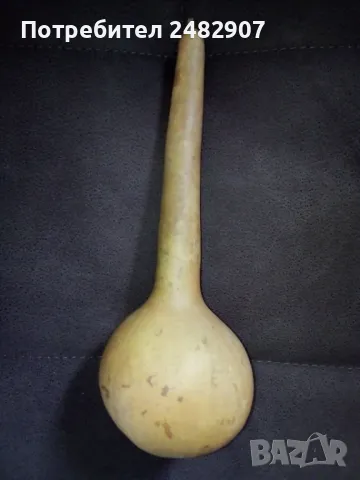 Кратуна със семки