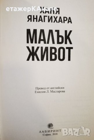 Малък живот  	Автор: Ханя Янагихара, снимка 11 - Художествена литература - 42559071