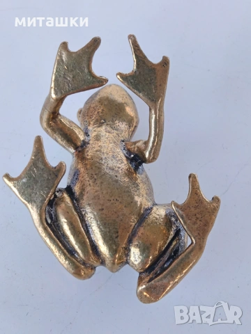 Жаба, снимка 3 - Колекции - 54222755