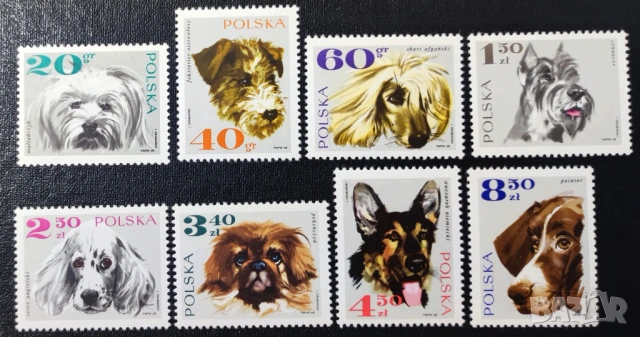 Полша, 1969 г. - лот марки на тема кучета, спорт, туризъм, личности, скаути, космос, изкуство и др.