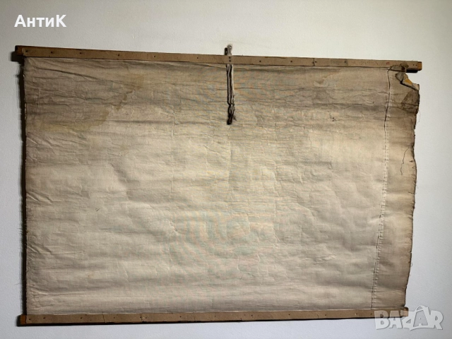 Соц Учебни Плакати Постери Ботаника, снимка 6 - Антикварни и старинни предмети - 52580865