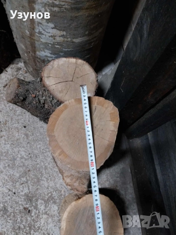  Дъбови Трупчета за месо и кокали, снимка 7 - Други - 52490951