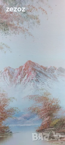 Картина масло върху платно, снимка 3 - Картини - 50849224