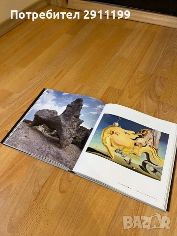 Книга за Салвадор Дали (Испански език), снимка 4 - Енциклопедии, справочници - 54242873
