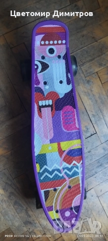 Скейтборд тип Пени борд