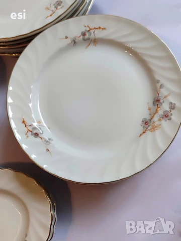 Български сервиз ябълков цвят , снимка 2 - Сервизи - 51413387