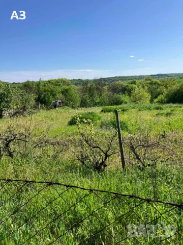 Продавам парцел в село Стамболийски, област Хасково, снимка 6 - Парцели - 50131042