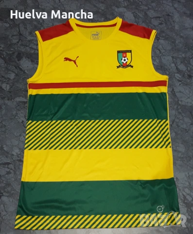 Потник Пума на националния отбор на Камерун