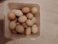 Домашни яйца от свободни кокошки , снимка 4