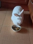 Подарявам декоративно зайче , снимка 9