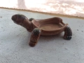 Костенурка от стар английски порцелан, снимка 2