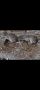 Зайци Големи на Килограм 10лв , снимка 1 - Други - 45325820