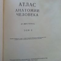 Атлас анатомии человека  том 2 - Р.Д.Синельников - 1956г., снимка 2 - Специализирана литература - 45536071