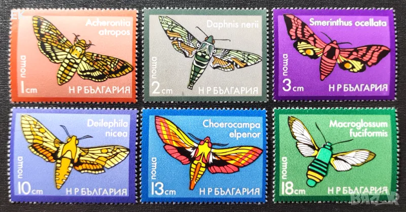 България, 1975 г. - пълна серия чиси марки, пеперуди, 5*5, снимка 1