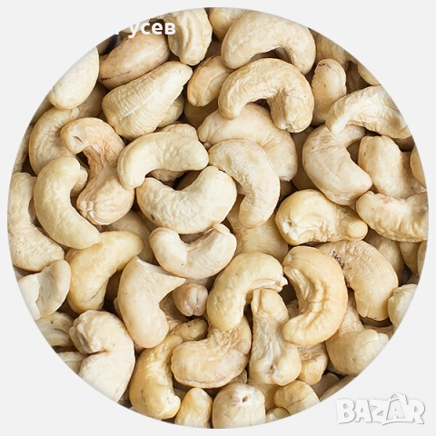 Ядки-Кашу,Шам фъстък,Бадем,Макадамия с черупка-натурална и с ванилия, снимка 6 - Хранителни добавки - 51917341