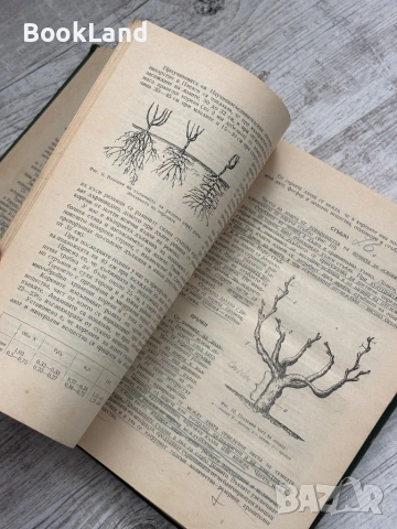 Лозарство| проф. Н. Неделчев и проф. М. Кондарев, снимка 13 - Други - 53568645