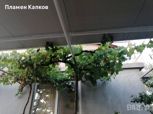 Предлагам страхотна къща в Маломир за нощувки и за дългосрочно! , снимка 17 - Къщи - 53760944