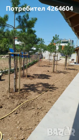 Почистване на дворове, снимка 4 - Други почистващи услуги - 50840253