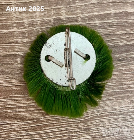 Баварска брошка / значка с еделвайс и алпийска символика, снимка 2 - Колекции - 53692877