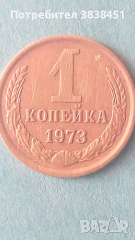 1 копейка 1973 года Русия, снимка 1 - Нумизматика и бонистика - 45583305