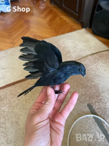 Гарван гарга декорация фигурка птица, снимка 2 - Декорация за дома - 49991824