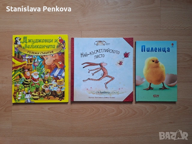 Голям лот детски книжки, снимка 5 - Детски книжки - 54238127