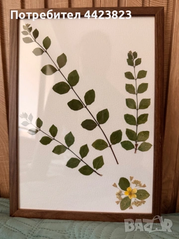 Декорация от хербаризирани растения