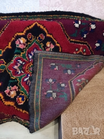 Вълнен китеник, снимка 2 - Други - 53266799