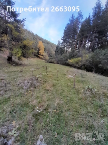 Парцел с. Добърско , снимка 2 - Парцели - 53279105