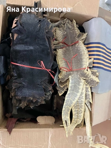 Кания от естествена кожа , снимка 6 - Други ценни предмети - 51564423